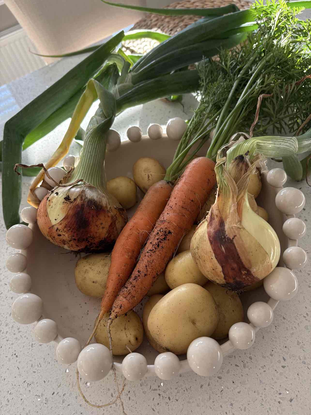 A mixed bowl of home-grown vegetables, uneven and unwashed