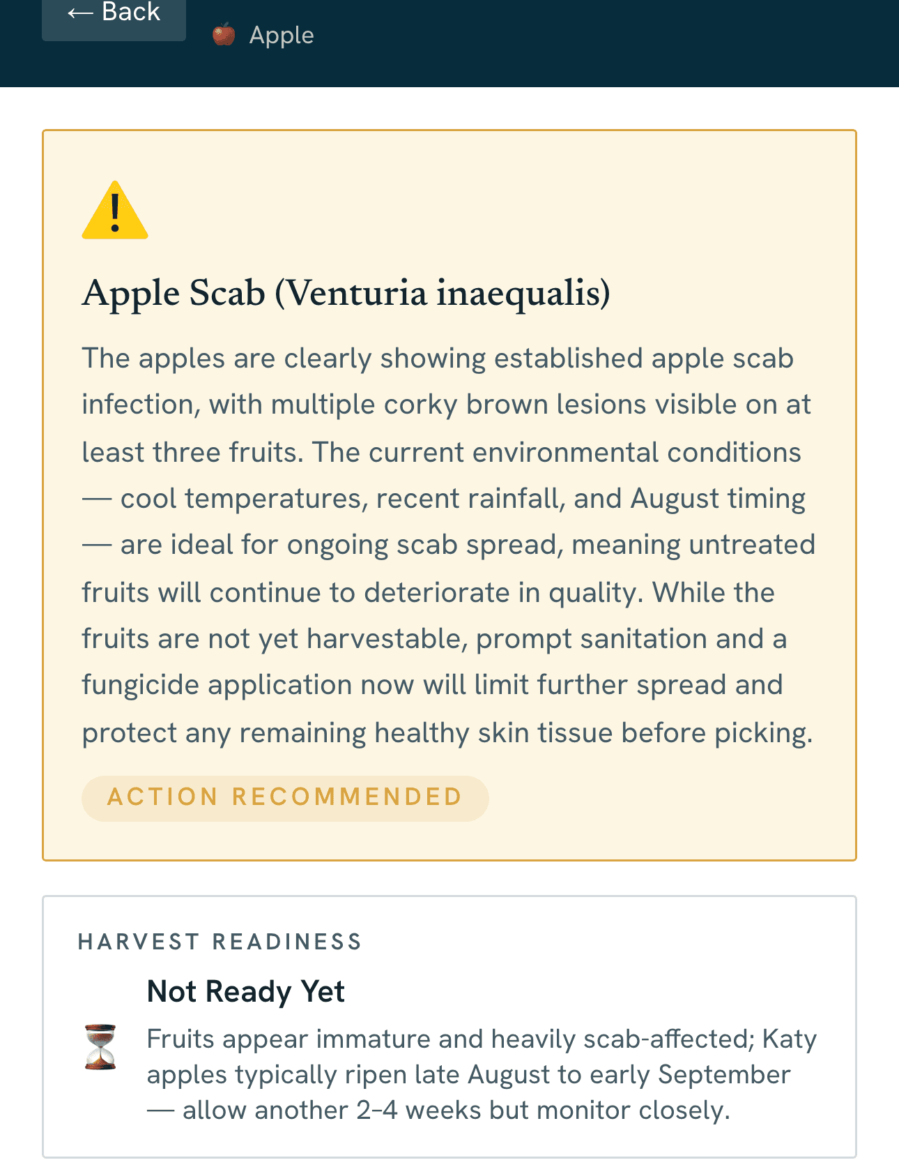 Vercro's Plant Check result: Apple Scab (Venturia inaequalis), with what it can see, estimated yield impact and a recommended action